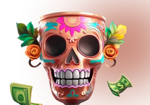 spinmacho registration